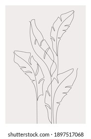 Abstract one line art of banana leaves. Tropical leaves composition isolated on white background. Continuous line drawing for trendy modern design. Vector foliage illustration in minimal style