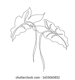 Abstract one line art elephant ears leaves  Tropical leaves set isolated white background  Continuous line drawing for trendy modern design  Vector foliage illustration in minimal style