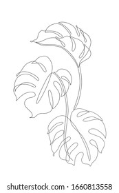 Abstract one line art leaf. Monstera contour drawing. Minimal art leaves isolated on white backgroud. Modern black and white illustration. Elegant continuous line drawing