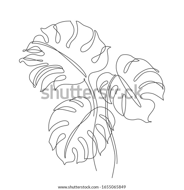 Abstract One Line Art Leaf Monstera Stock Vector Royalty Free