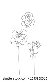 Abstract one line art of roses. Beautiful flowers composition isolated on white background. Continuous line drawing for trendy modern design. Vector flower illustration in minimal style