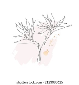 Abstract one line art tropical flower. Strelitzia contour drawing. Minimal continuous line art flower on geometric shapes, paint splatters, drips background in pink rose blush colors. Vector art