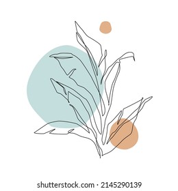 Abstract one line art tropical leaf. Banana contour drawing. Minimal continuous line art exotic leaf on geometric shapes background. Vector art. Elegant line drawing. Plants nature drawing wallpaper