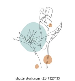 Abstract one line art tropical flower, monstera leaf. Strelitzia contour drawing. Minimal continuous line art flower, exotic leaf on geometric shapes background. Vector art. Elegant line drawing