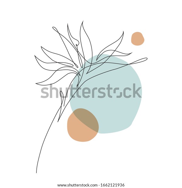 Abstract\
one line art tropical flower. Strelitzia contour drawing. Minimal\
art flower on geometric shapes backgroud. Modern black and white\
illustration. Elegant continuous line\
drawing