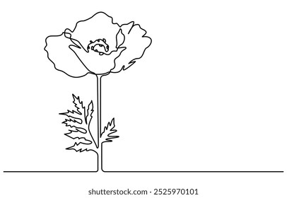 Abstract one line continuous poppy flower drawing in minimal style, Poppy flowers in continuous line art drawing style. 