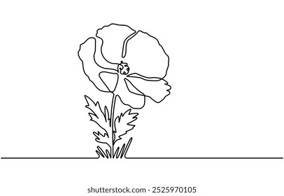 Abstract one line continuous poppy flower drawing in minimal style, Poppy flowers in continuous line art drawing style. 