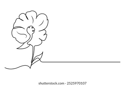 Abstract one line continuous poppy flower drawing in minimal style, Poppy flowers in continuous line art drawing style. 