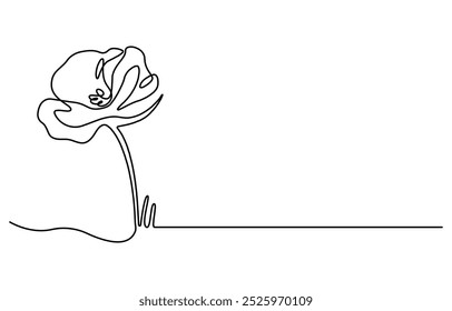 Abstract one line continuous poppy flower drawing in minimal style, Poppy flowers in continuous line art drawing style. 