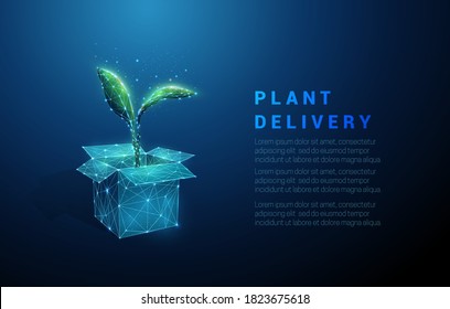 Abstract open box and green plant. Plant delivery icon. Low poly style design. Geometric background. Wireframe light connection structure. Modern 3d graphic concept. Isolated vector illustration