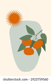 Abstract orange fruit tree branch and sun minimalist boho style pattern background