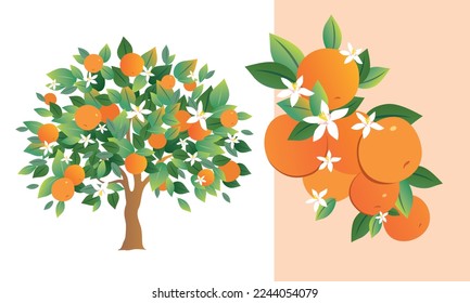 Abstract orange tree and composition of oranges, leaves and flowers. Vector illustration