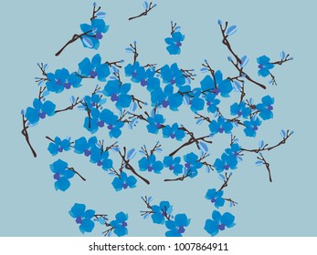 Abstract orchid pattern. Gentle flowers background. Vector illustration for invitation, card, celebration, party, carnival, festive holiday and Your project. Gentle blue Background