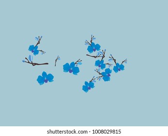 Abstract orchid pattern. Gentle flowers background. Vector illustration for invitation, card, celebration, party, carnival, festive holiday and Your project. Gentle blue Background