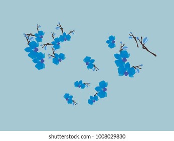 Abstract orchid pattern. Gentle flowers background. Vector illustration for invitation, card, celebration, party, carnival, festive holiday and Your project. Gentle blue Background