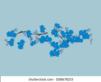 Abstract orchid pattern. Gentle flowers background. Vector illustration for invitation, card, celebration, party, carnival, festive holiday and Your project. Gentle blue Background