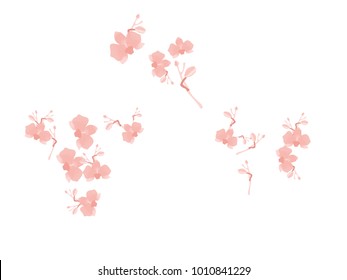 Abstract orchid pattern. Gentle flowers background. Isolated. Vector illustration for invitation, card, celebration, party, carnival, festive holiday and Your project.