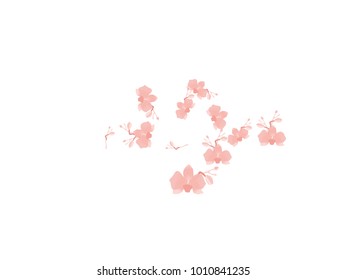 Abstract orchid pattern. Gentle flowers background. Isolated. Vector illustration for invitation, card, celebration, party, carnival, festive holiday and Your project.