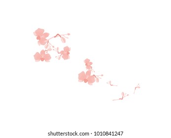 Abstract orchid pattern. Gentle flowers background. Isolated. Vector illustration for invitation, card, celebration, party, carnival, festive holiday and Your project.