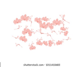 Abstract orchid pattern. Gentle flowers background. Isolated. Vector illustration for invitation, card, celebration, party, carnival, festive holiday and Your project.