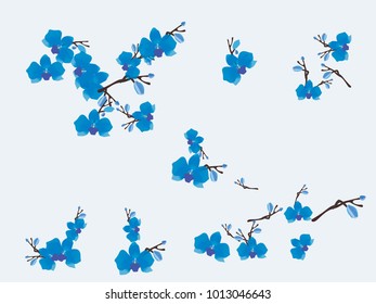 Abstract orchid pattern. Gentle flowers background. Vector illustration for invitation, card, celebration, party, carnival, festive holiday and Your project. Gentle grey Background
