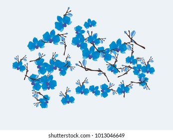 Abstract orchid pattern. Gentle flowers background. Vector illustration for invitation, card, celebration, party, carnival, festive holiday and Your project. Gentle grey Background