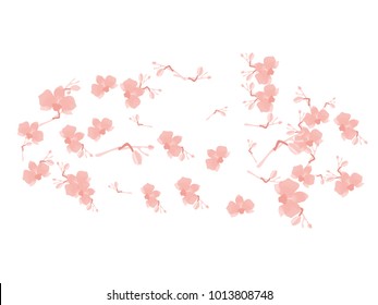 Abstract orchid pattern. Gentle flowers background. Isolated. Vector illustration for invitation, card, celebration, party, carnival, festive holiday and Your project.