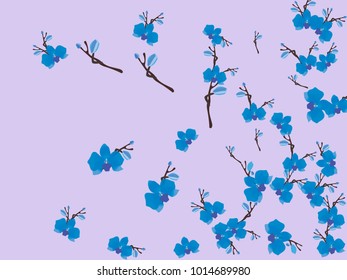 Abstract orchid pattern. Gentle flowers background. Vector illustration for invitation, card, celebration, party, carnival, festive holiday and Your project. Gentle blue Background