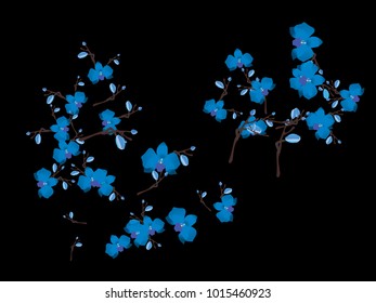 Abstract orchid pattern. Gentle flowers background. Vector illustration for invitation, card, celebration, party, carnival, festive holiday and Your project. Black Background