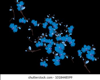 Abstract orchid pattern. Gentle flowers background. Vector illustration for invitation, card, celebration, party, carnival, festive holiday and Your project. Black Background