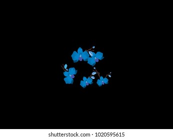 Abstract orchid pattern. Gentle flowers background. Vector illustration for invitation, card, celebration, party, carnival, festive holiday and Your project. Black Background