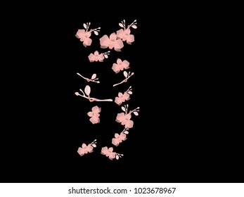 Abstract orchid pattern. Gentle flowers background. Vector illustration for invitation, card, celebration, party, carnival, festive holiday and Your project. Black Background