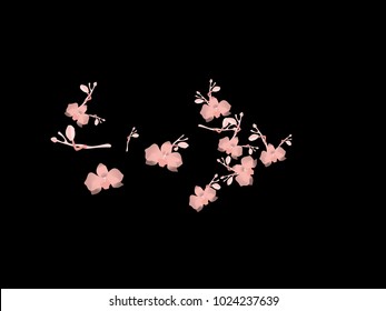 Abstract orchid pattern. Gentle flowers background. Vector illustration for invitation, card, celebration, party, carnival, festive holiday and Your project. Black Background