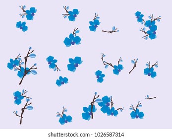 Abstract orchid pattern. Gentle flowers background. Vector illustration for invitation, card, celebration, party, carnival, festive holiday and Your project. Gentle blue Background