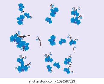 Abstract orchid pattern. Gentle flowers background. Vector illustration for invitation, card, celebration, party, carnival, festive holiday and Your project. Gentle blue Background
