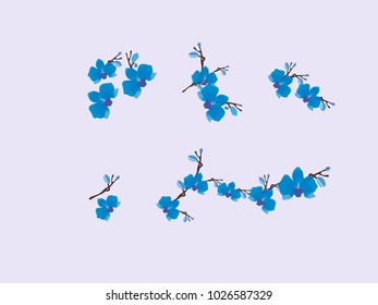 Abstract orchid pattern. Gentle flowers background. Vector illustration for invitation, card, celebration, party, carnival, festive holiday and Your project. Gentle blue Background