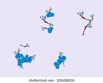 Abstract orchid pattern. Gentle flowers background. Vector illustration for invitation, card, celebration, party, carnival, festive holiday and Your project. Gentle blue Background