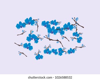 Abstract orchid pattern. Gentle flowers background. Vector illustration for invitation, card, celebration, party, carnival, festive holiday and Your project. Gentle blue Background