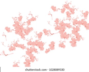 Abstract orchid pattern. Gentle flowers background. Isolated. Vector illustration for invitation, card, celebration, party, carnival, festive holiday and Your project.