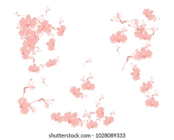 Abstract orchid pattern. Gentle flowers background. Isolated. Vector illustration for invitation, card, celebration, party, carnival, festive holiday and Your project.