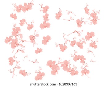 Abstract orchid pattern. Gentle flowers background. Isolated. Vector illustration for invitation, card, celebration, party, carnival, festive holiday and Your project.