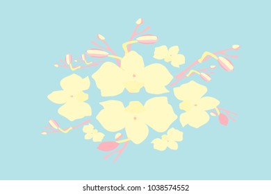 Abstract orchid pattern. Gentle flowers background. Vector illustration for invitation, card, celebration, party, carnival, festive holiday and Your project. Gentle blue Background