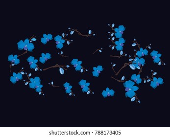 Abstract orchid pattern. Gentle flowers background. Vector illustration for invitation, card, celebration, party, carnival, festive holiday and Your project. Dark grey Background