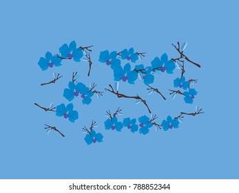 Abstract orchid pattern. Gentle flowers background. Vector illustration for invitation, card, celebration, party, carnival, festive holiday and Your project. Gentle blue Background