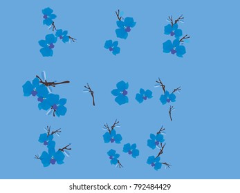 Abstract orchid pattern. Gentle flowers background. Vector illustration for invitation, card, celebration, party, carnival, festive holiday and Your project. Gentle blue Background