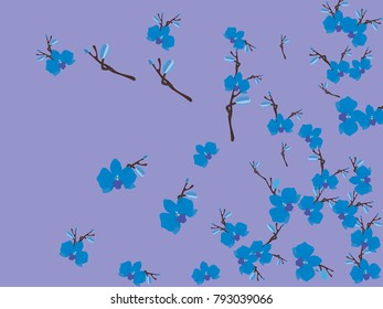 Abstract orchid pattern. Gentle flowers background. Vector illustration for invitation, card, celebration, party, carnival, festive holiday and Your project. Gentle blue Background