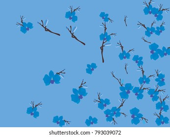 Abstract orchid pattern. Gentle flowers background. Vector illustration for invitation, card, celebration, party, carnival, festive holiday and Your project. Gentle blue Background