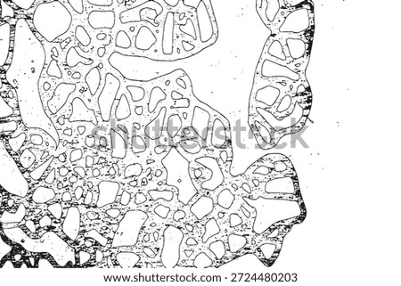 Abstract Organic Black and White Cellular Texture Background