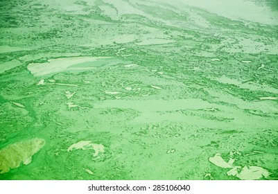 Abstract organic texture. Background texture for themes of environment and nature. Grungy wallpaper.