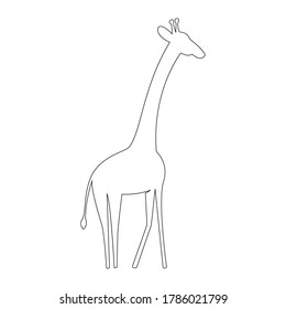 Abstract outline African giraffe  Silhouette. Line illustration isolated on white background.